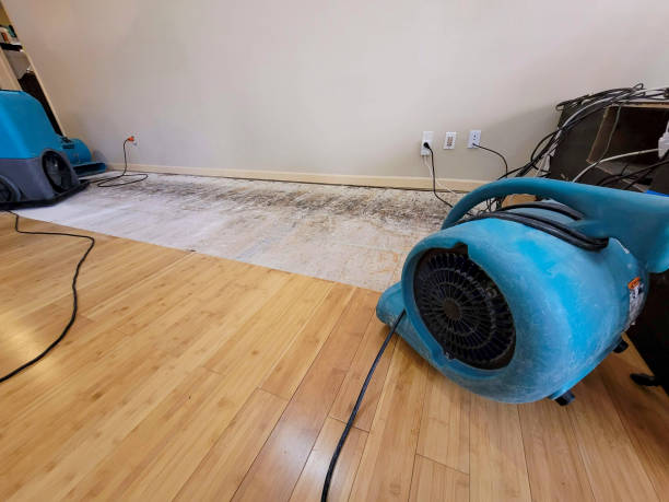Professional Structural Drying technician working in Waterford, MI